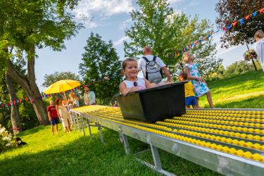 OFCA 2024 - Festiwalowe warsztaty dla dzieci nad stawami - ZDJĘCIA, WIDEO